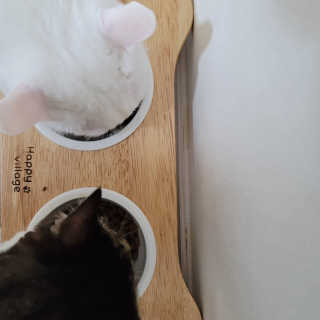 아이리스s님이 올린 리뷰 사진 3