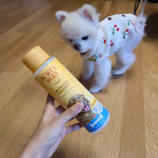 뽀용이님이 올린 리뷰 사진 2