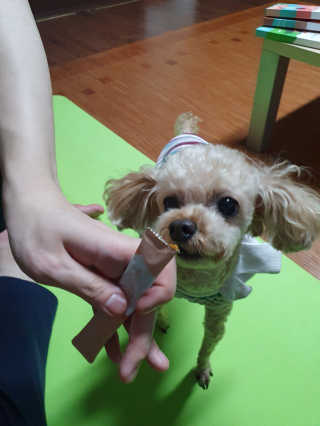 위니님이 올린 리뷰 사진 1