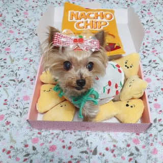 솜희님이 올린 리뷰 사진 2