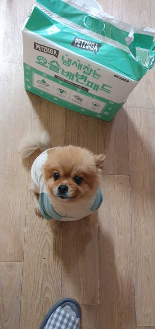 ruler.zero님이 올린 리뷰 사진 4
