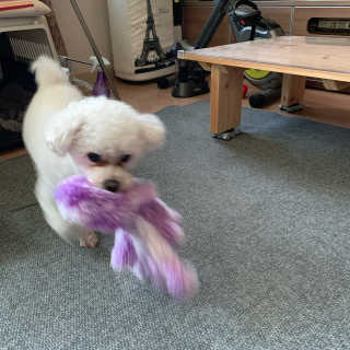 설량님이 올린 리뷰 사진 3