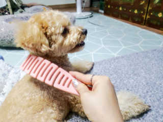ve_randa님이 올린 리뷰 사진 4