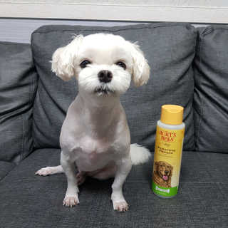 권쁜님이 올린 리뷰 사진 1