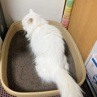 miyoooo님이 올린 리뷰 사진 3