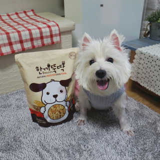 jj스타일님이 올린 리뷰 사진 1