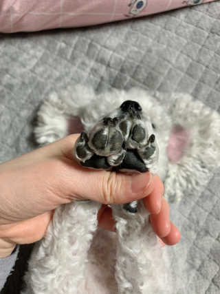 zzzbebemin님이 올린 리뷰 사진 3