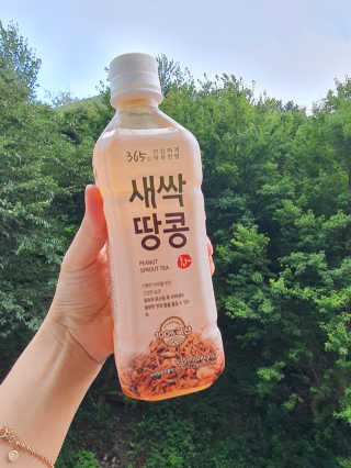 로즈마리님이 올린 리뷰 사진 1