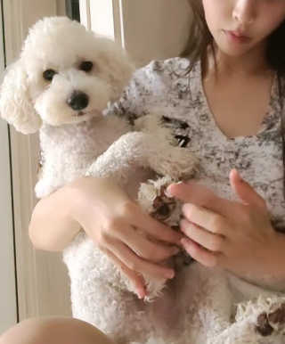 [자유펫] 시코니딘 고양이 강아지 피부 보습 연고 20g — 5점을 준 리뷰어가 2020년 7월 올린 사용 사진