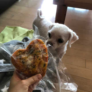 minjiriri님이 올린 리뷰 사진 2