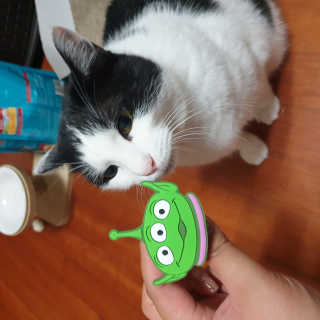 한라봉님이 올린 리뷰 사진 2