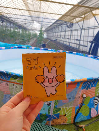 네이처오다 달칩 초코샌드 — 5점을 준 리뷰어가 2020년 9월 올린 사용 사진