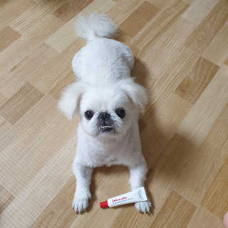 [자유펫] 시코니딘 고양이 강아지 피부 보습 연고 20g — 5점을 준 리뷰어가 2020년 8월 올린 사용 사진