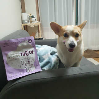 My Pet Care 천연단백질 치아건강에 개좋아 — 5점을 준 리뷰어가 2020년 11월 올린 사용 사진
