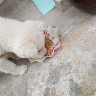 얌야미님이 올린 리뷰 사진 4