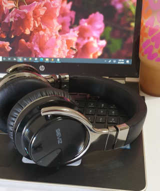 SEVIZ Bluetooth Headphones 10 3color — 5점을 준 리뷰어가 2020년 8월 올린 사용 사진