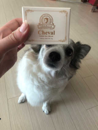 pouryourlove님이 올린 리뷰 사진 1
