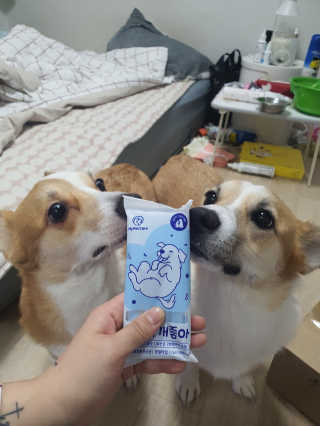 박지은님이 올린 리뷰 사진 4