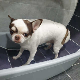 mini unni님이 올린 리뷰 사진 3