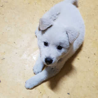 얌야미님이 올린 리뷰 사진 1
