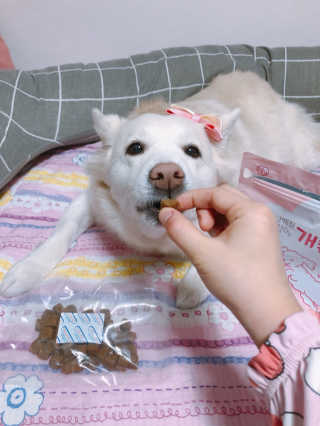 My Pet Care 천연단백질 관절건강에 개좋아 — 5점을 준 리뷰어가 2020년 12월 올린 사용 사진