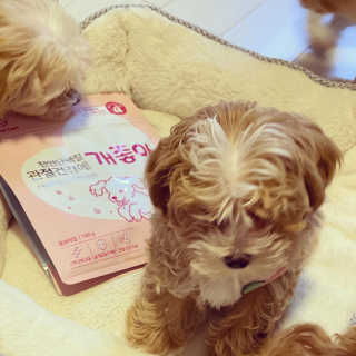 My Pet Care 천연단백질 관절건강에 개좋아 — 5점을 준 리뷰어가 2020년 12월 올린 사용 사진