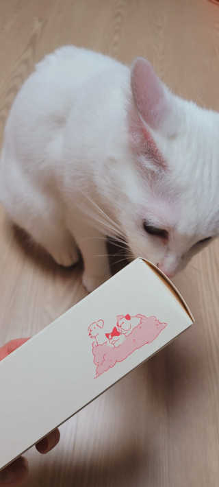 대박이님이 올린 리뷰 사진 1