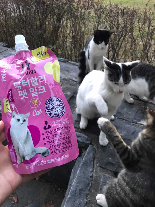 닥터할리펫밀크 8종 리뷰 사진