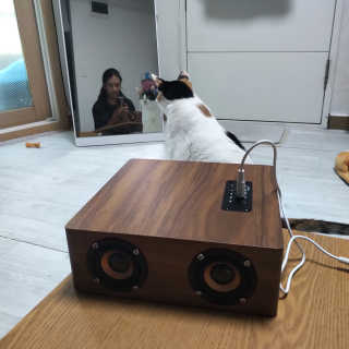 코딱지님이 올린 리뷰 사진 3