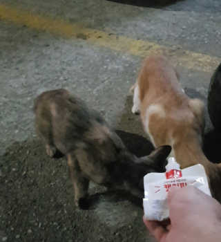 윤봉님이 올린 리뷰 사진 3