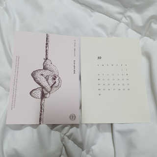 효니스타일님이 올린 리뷰 사진 4