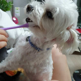 시우하늘맘님이 올린 리뷰 사진 4