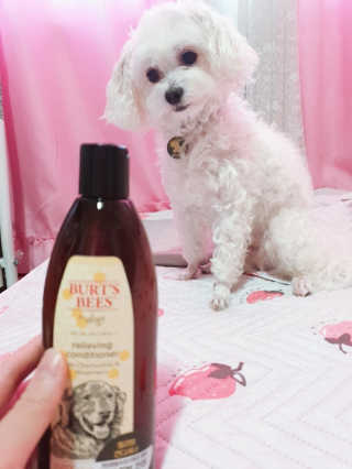 웅이님이 올린 리뷰 사진 1