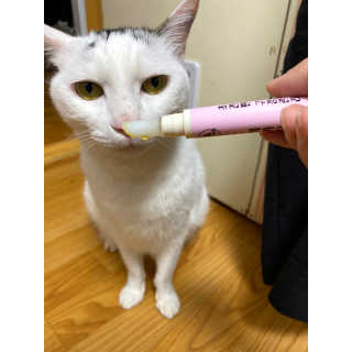 더펫원츠 [5초양치] 멍.치카펜 or 냥.치카펜 or 치카오일펜 — 4.5점을 준 리뷰어가 2020년 9월 올린 사용 사진