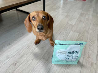 My Pet Care 천연단백질 눈건강에 개좋아 — 5점을 준 리뷰어가 2020년 12월 올린 사용 사진