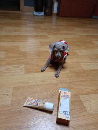 쪼꼬사랑이언니님이 올린 리뷰 사진 2