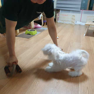숮이님이 올린 리뷰 사진 1