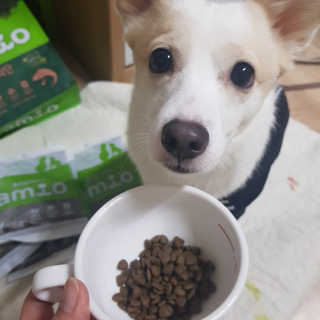 [풀무원 아미오] 자연담은식단 1kg 3종 — 5점을 준 리뷰어가 2020년 12월 올린 사용 사진