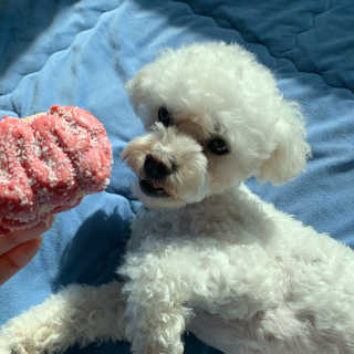 설량님이 올린 리뷰 사진 2