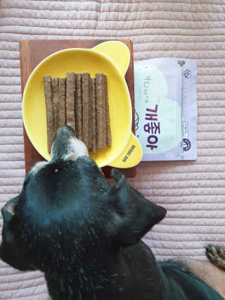 My Pet Care 천연단백질 치아건강에 개좋아 — 5점을 준 리뷰어가 2020년 12월 올린 사용 사진
