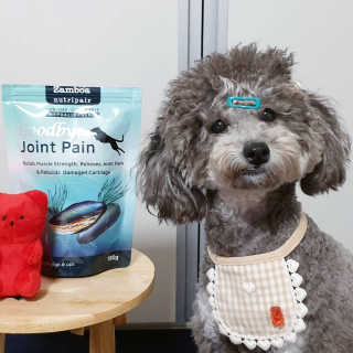 잠보아 뉴트리페어 굿바이 조인트페인 — 5점을 준 리뷰어가 2020년 7월 올린 사용 사진