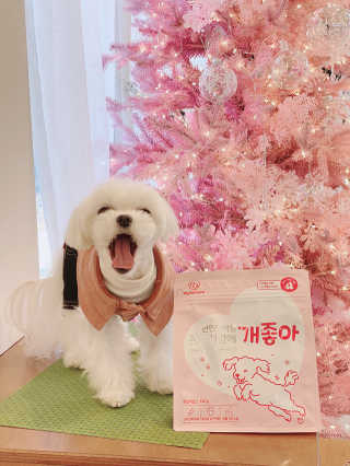 My Pet Care 천연단백질 관절건강에 개좋아 — 5점을 준 리뷰어가 2020년 12월 올린 사용 사진