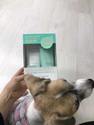 와플이네님이 올린 리뷰 사진 1
