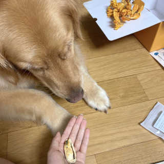 아보카도올리브님이 올린 리뷰 사진 4