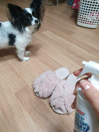 지뚜언니님이 올린 리뷰 사진 2