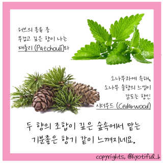 무니스튜디오 차크라 아로마 롤온 7종 10ml — 5점을 준 리뷰어가 2020년 5월 올린 사용 사진