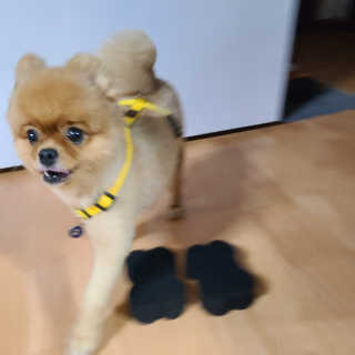 보헤미안망고님이 올린 리뷰 사진 2