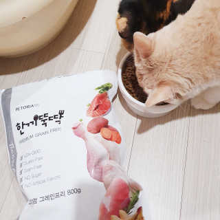 JENNY님이 올린 리뷰 사진 1