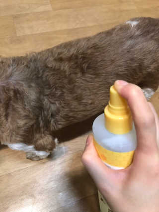 기나긴님이 올린 리뷰 사진 2