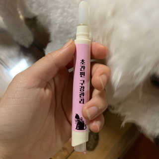 빙빙이님이 올린 리뷰 사진 2